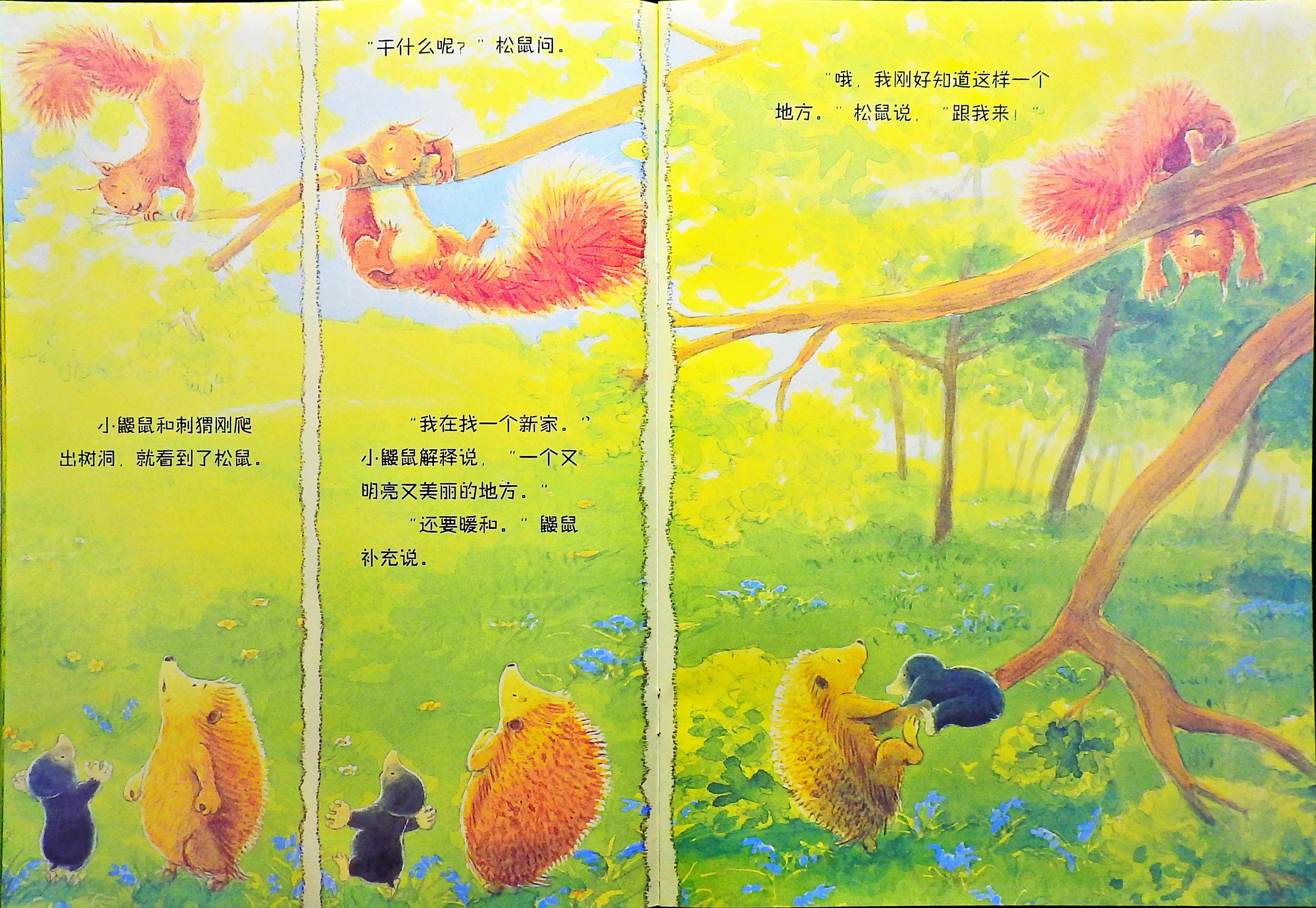 小鼹鼠找新家 (07),绘本,绘本故事,绘本阅读,故事书,童书,图画书,课外阅读